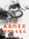 洪荒:我造化青莲,摊牌盘古意志