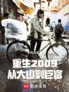 重生2009:从大山到巨富