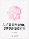 与毛茸茸共视角,警局哄我破凶案